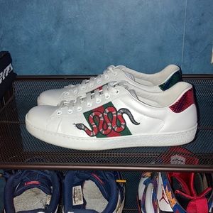 Gucci Snakes Sneakers